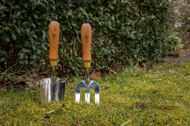 Planteringsgaffel i ask